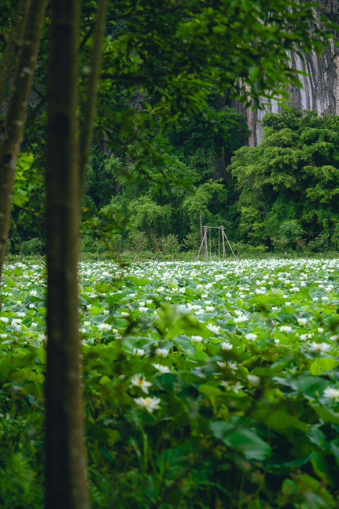 Bed & Breakfast Hali Ninh Bình