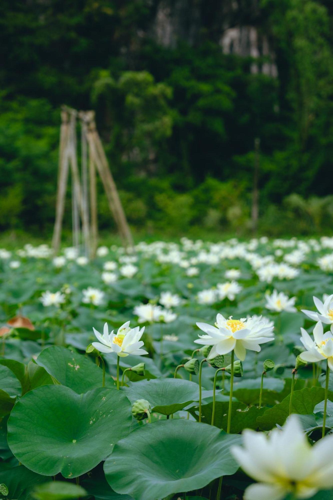 Bed & Breakfast Hali Ninh Bình